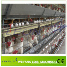 Sistema de alimentación de jaulas para aves de corral altamente personalizado de la serie Leon a la venta